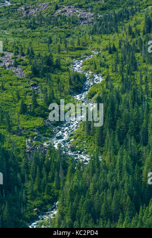 Glacier Creek lungo l'Hoh River Trail fino al Blue Glacier, all'Olympic National Park, allo stato di Washington, Stati Uniti Foto Stock