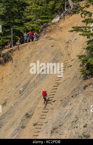 Backpackers devono scendere e salire una lunga e ripida scaletta di corda lungo la parete di un washout vicino a Glacier Prati Camp sull'Hoh River Trail nel Olymp Foto Stock