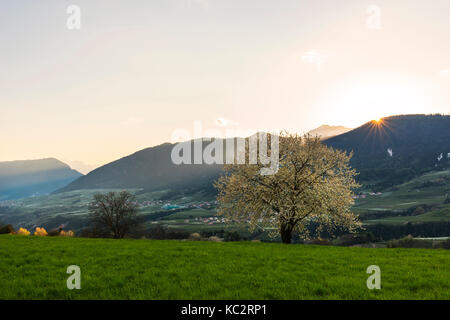 L'italia, trentino alto adige, praterie di Val di non in una giornata di primavera. Foto Stock