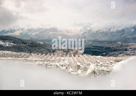 Meleto coperte di neve in Val di Non, in trentino alto adige, italia, Europa. Foto Stock