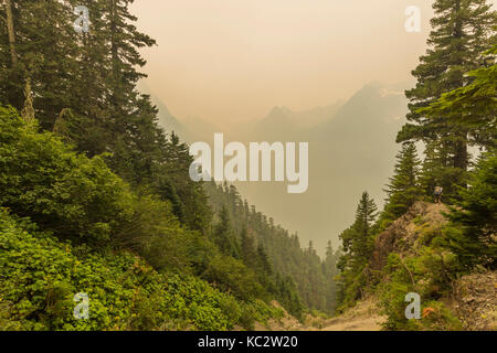 Fumare nell'aria lungo l'Hoh River Trail fino al Blue Glacier, all'Olympic National Park, allo stato di Washington, Stati Uniti Foto Stock