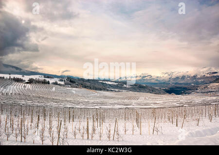 Meleto coperte di neve in Val di Non, in trentino alto adige, italia, Europa. Foto Stock