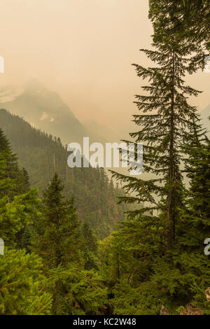 Fumo di fuoco della foresta soffiato dagli incendi regionali lungo l'Hoh River Trail fino al Blue Glacier, all'Olympic National Park, Washington state, USA Foto Stock