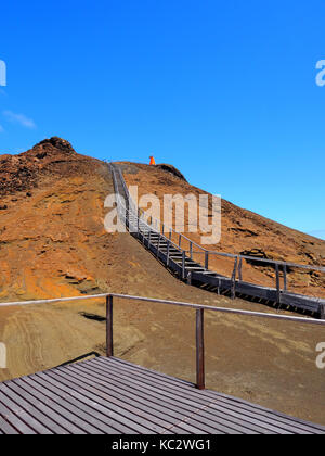 Genovesa - isole Galapagos ecuador Foto Stock