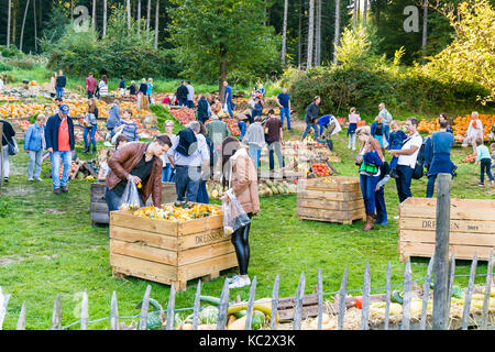 Merode, Germania - 23 settembre 2017 - la gente sceglie un mercato di fattoria con zucche Foto Stock
