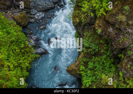 Hoh River Trail fino al Blue Glacier, all'Olympic National Park, allo stato di Washington, Stati Uniti Foto Stock