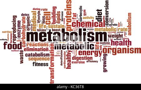 Il metabolismo di parola il concetto di cloud. Illustrazione Vettoriale Illustrazione Vettoriale