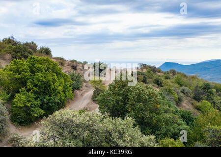 Viaggio in Crimea - strada in demerdzhi (demirci) montagna alla valle dei fantasmi di Crimea sulla costa meridionale Foto Stock