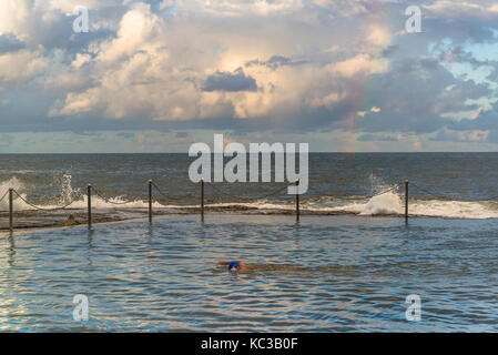 Nuotatore a Wylies bagni, un pool di marea nei pressi di Coogee Beach, sobborghi Orientali, Sydney, Australia Foto Stock