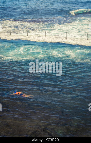 Nuotatore a Wylies bagni, un pool di marea nei pressi di Coogee Beach, sobborghi Orientali, Sydney, Australia Foto Stock