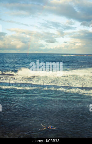 Nuotatore a Wylies bagni, un pool di marea nei pressi di Coogee Beach, sobborghi Orientali, Sydney, Australia Foto Stock