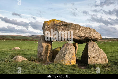Abercastle, Pembrokeshire, Wales, Regno Unito. Carreg Sansone, un anno 5000 Neolitico antico dolmen o camera di sepoltura. Conosciuta anche come la Longhouse o Sansone della pietra Foto Stock