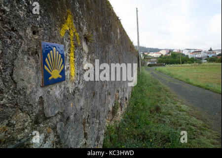 La scaloppina giallo shell firma del cammino di Santiago de Compostela Foto Stock