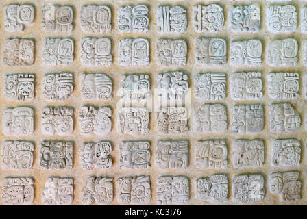 Antica città di palenque si siede come un re su di un trono di foresta dove la pianura incontra montagne. Il quadro presenta antichi geroglifici maya Foto Stock