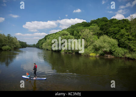 Padre e figlio paddle imbarco sul fiume Wye, symons yat, nel Gloucestershire. Foto Stock