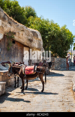 Bella asini chiamati taxi sul ripido acropoli di Lindos mountain, l' isola di Rodi, Grecia Foto Stock