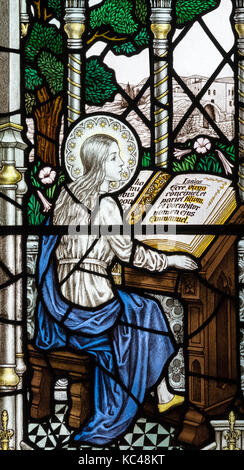 Le istruzioni della Vergine Maria Foto Stock