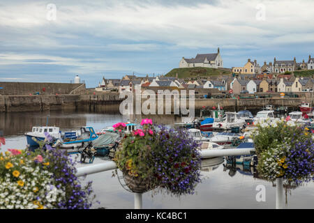 Findochty, Moray, Scozia, Regno Unito Foto Stock