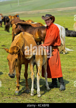Giovane uomo porta il puledro di un mare di rassicurarla durante la fase di mungitura, Mongolia Foto Stock