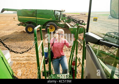 Un giovane agricoltore femmina si arrampica su di lei la mietitrebbia prima della mietitura del frumento sulla famiglia agriturismo vicino a Breckenridge, North Dakota Foto Stock