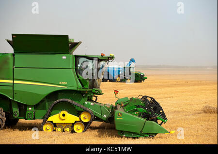 Mietitrebbia john deere la raccolta di frumento in una fattoria a Breckenridge, North Dakota Foto Stock