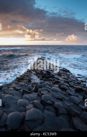 Colonne di basalto della costa al tramonto, Giant's Causeway, County Antrim, Irlanda del Nord, Regno Unito Foto Stock