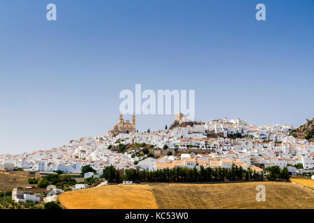 Villaggio bianco con la chiesa di la Encarnación, e il castello moresco, Olvera, provincia di Cadice, Andalusia, Spagna Foto Stock