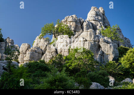 Bizzarre formazioni rocciose calcaree, El Torcal Riserva Naturale, Antequera, Provincia di Malaga, Andalusia, Spagna Foto Stock