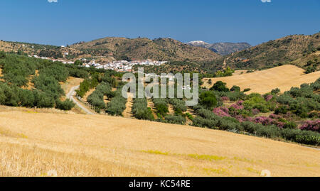 Paesaggio, Riogordo, Comares, Axarquia, Provincia di Malaga, Andalusia, Spagna Foto Stock