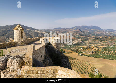 Vista dal castello moresco, collina con alberi di olivo, villaggio bianco, Olvera, provincia di Cadice, Andalusia, Spagna Foto Stock