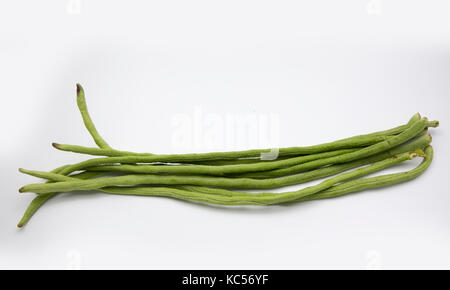 Lungo fagiolo verde sulla isolato Foto Stock