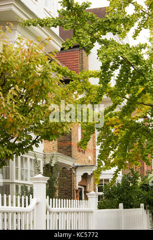 Autunno folioage nella parte anteriore del case lungo il blenheim road in Bedford Park, chiswick,Londra, Regno Unito Foto Stock