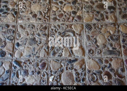 Fossili incorporato in un pavimento, villa da leyva,colombia Foto Stock