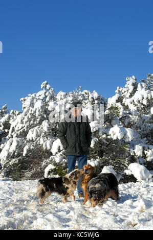 L'uomo gode di un inverno mattina nel Nuovo Messico. I suoi tre pastori australiani frolick nella neve ai suoi piedi. Foto Stock