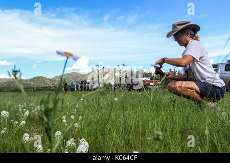 Rancho la Volanta. Expedition con multe científicos y conservacionistas. Alrededor de 50 personas (mex y usa) de las distintas disciplinas de las c Foto Stock