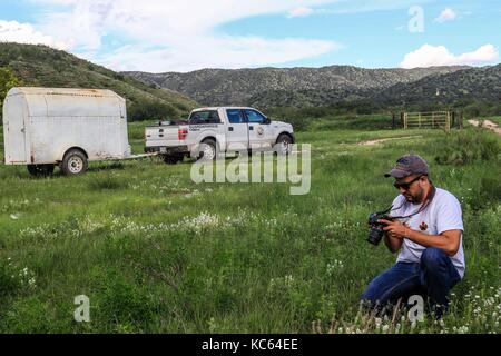 Rancho la Volanta. Expedition con multe científicos y conservacionistas. Alrededor de 50 personas (mex y usa) de las distintas disciplinas de las c Foto Stock