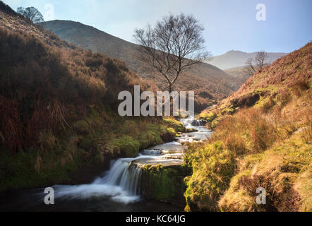 Fairbrook nel parco nazionale di Peak District con kinder scout in distanza. Foto Stock