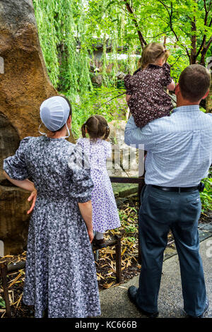 Washington DC,National Zoo,Giant Panda,mostra collezione Mennonite,famiglia genitori genitori bambini bambini,abito tradizionale,padre Foto Stock