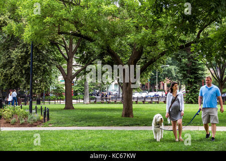 Washington DC, Dupont Circle, parco, coppia adulti uomo donna cane femmina animale domestico camminare guinzaglio, Foto Stock