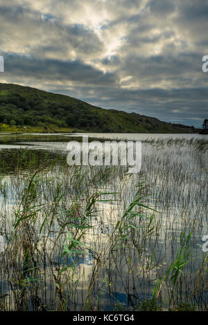Cloonee Loughs, vicino a Kenmare Foto Stock