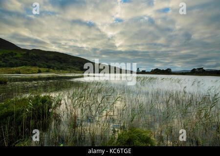 Cloonee Loughs, vicino a Kenmare Foto Stock