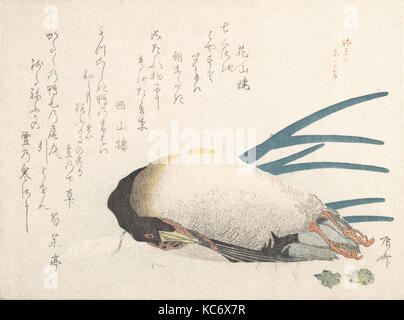 摺物帖 '春雨集' 鴨と葱, molla pioggia raccolta (Harusame shū), vol. 1: anatra e lo scalogno, Ryūryūkyo Shinsai, 1810s Foto Stock