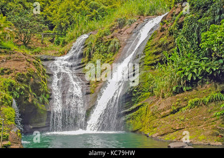 Prima cascata precipita per 35 piedi presso Concord Falls, Gouyave, Grenada. Foto Stock