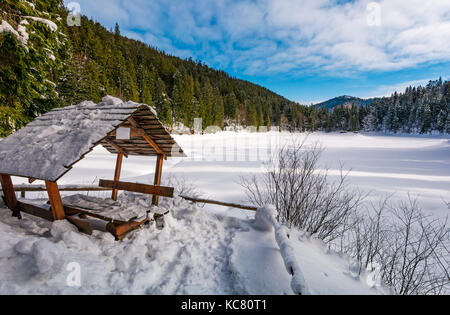 Pergolato in legno in inverno nevoso foreste di abete rosso. bellissimo paesaggio montuoso vicino coperta di neve lago ghiacciato synevyr Foto Stock