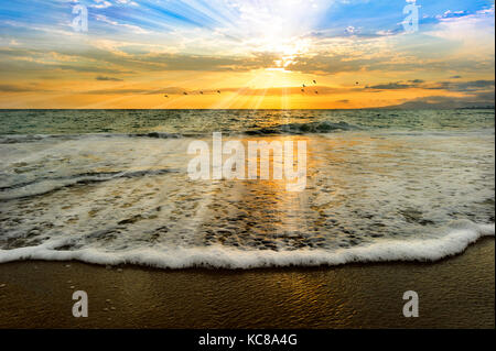 Tramonto uccelli oceano è un oceano scencic tramonto con un bagno di luce solul di raggi che scendono dal cielo come un battesimo. Foto Stock