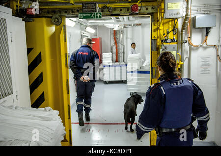 Marsiglia (sud-est della Francia). 2015/04/28: brigata doganale controllo bagagli su una nave da crociera (Cruise Line Costa Crociere) a Marseille-Fos porta. Uomo Foto Stock