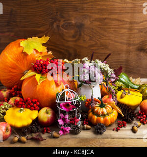 Disposizione di ringraziamento con zucche, verdure, rowan bacche, clower e fiori di colore rosa decorata birdcage, spazio di copia Foto Stock