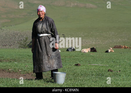 BAT-ULZII, MONGOLIA, LUGLIO 15 - una donna nomade mongolo pronta per la mungitura delle querce, il 15 luglio 2013 a Bat-Ulzii, Mongolia. Foto Stock