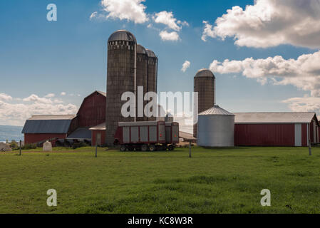 Finger Lakes, New York, Stati Uniti d'America -- Settembre 29, 2017 -- Quattro silos, diversi fienili e trattori su erba verde con un cielo blu sullo sfondo. Foto Stock