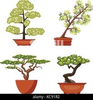 Set di vettore di coloratissimi alberi di bonsai in vasi, isolati su sfondo bianco cinese arte bonsai simboli Illustrazione Vettoriale